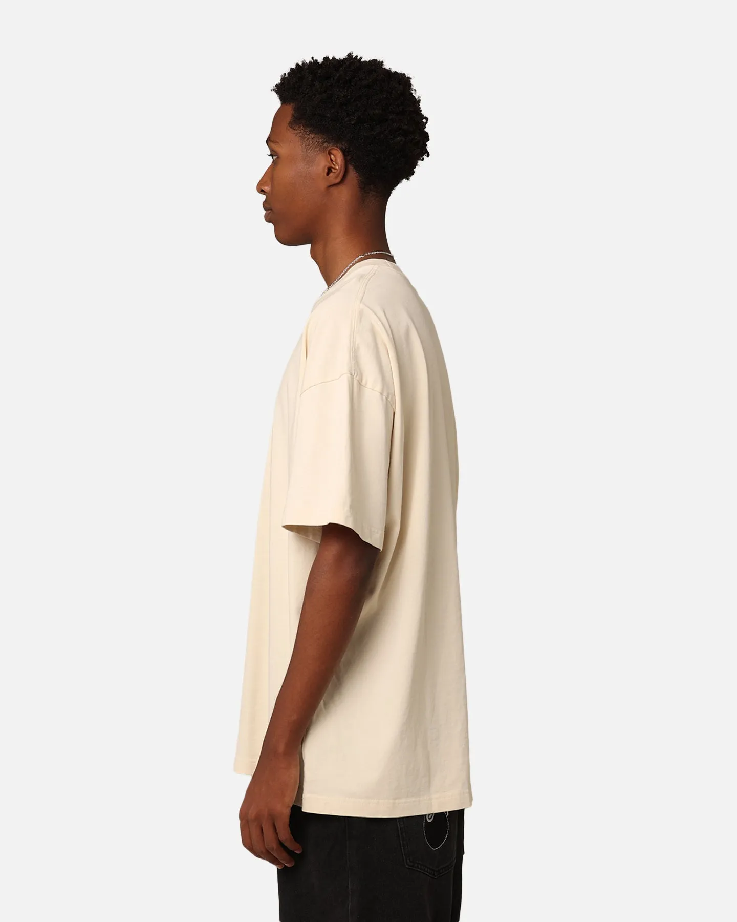 Dickies 330 Washed T-Shirt Bone