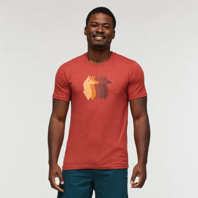M's Llama Sequence Organic T-shirt
